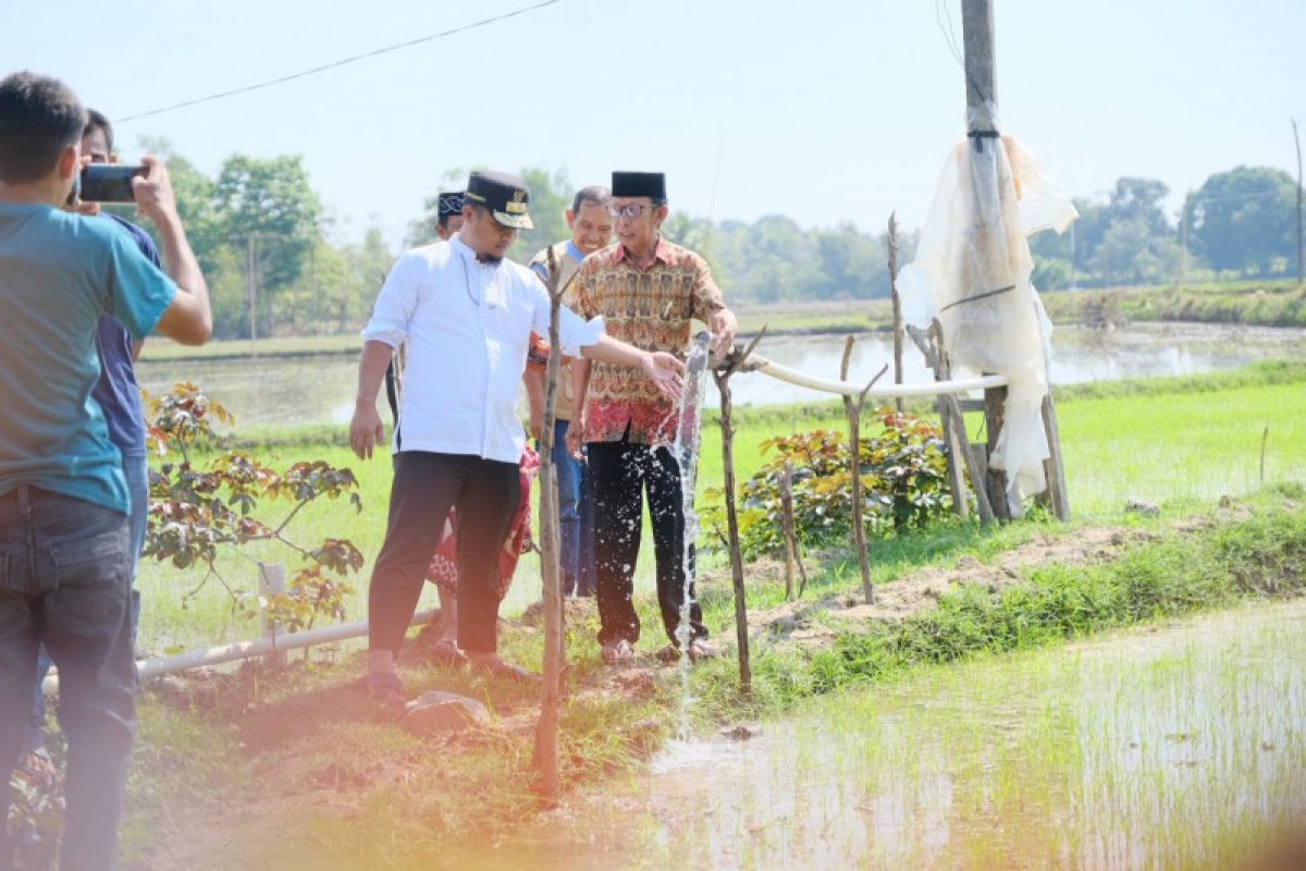 Wagub Sulsel bantu atasi kekeringan warga Kabupaten Wajo