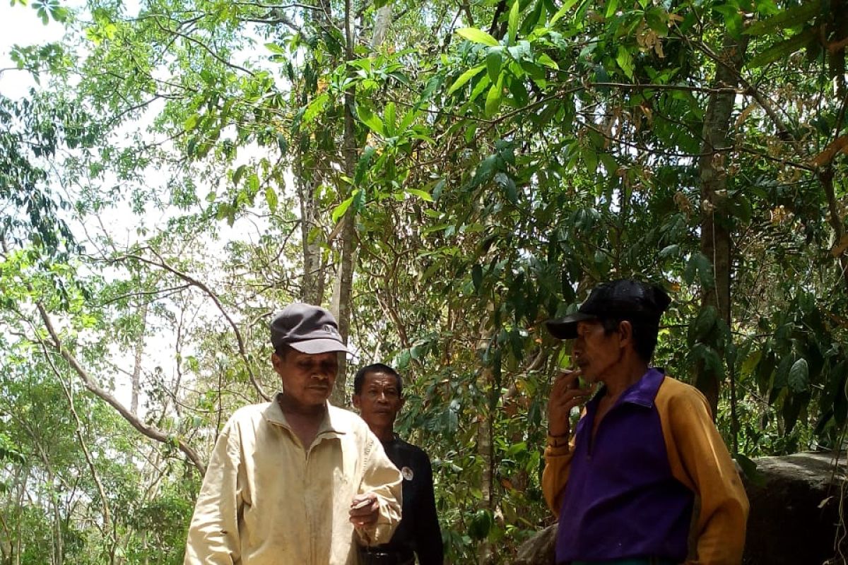 Gakkum LHK Sulawesi serahkan tersangka perambah hutan ke Kejaksaan Negeri  Barru