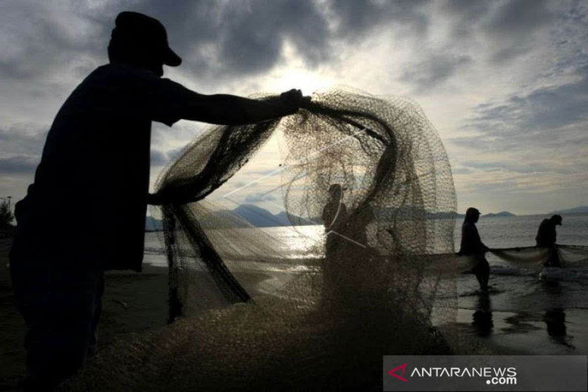 DKP DIY sebut nelayan DIY akan memasuki masa panen ikan laut