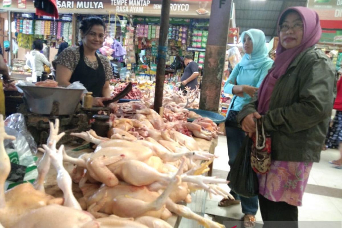 Harga ayam potong Palangka Raya tembus Rp44.000 per kilogram