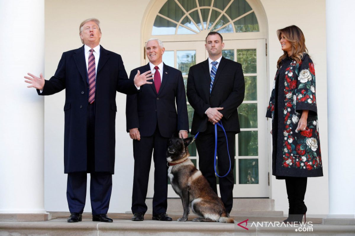 Trump sambut Conan, seekor anjing pahlawan dalam penyerbuan pemimpin ISIS