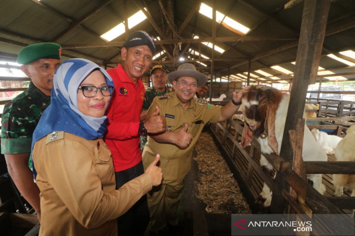 Peternak sumbang swadaya daging untuk masyarakat Kutim