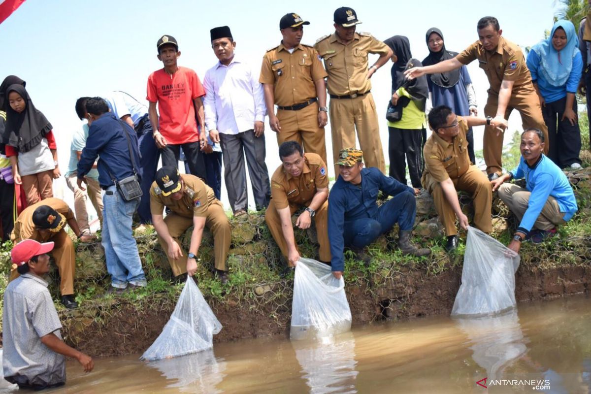 Dalam rangka BBGRM 2019, Wawako Payakumbuh lepas bibit ikan di Batang Sakali