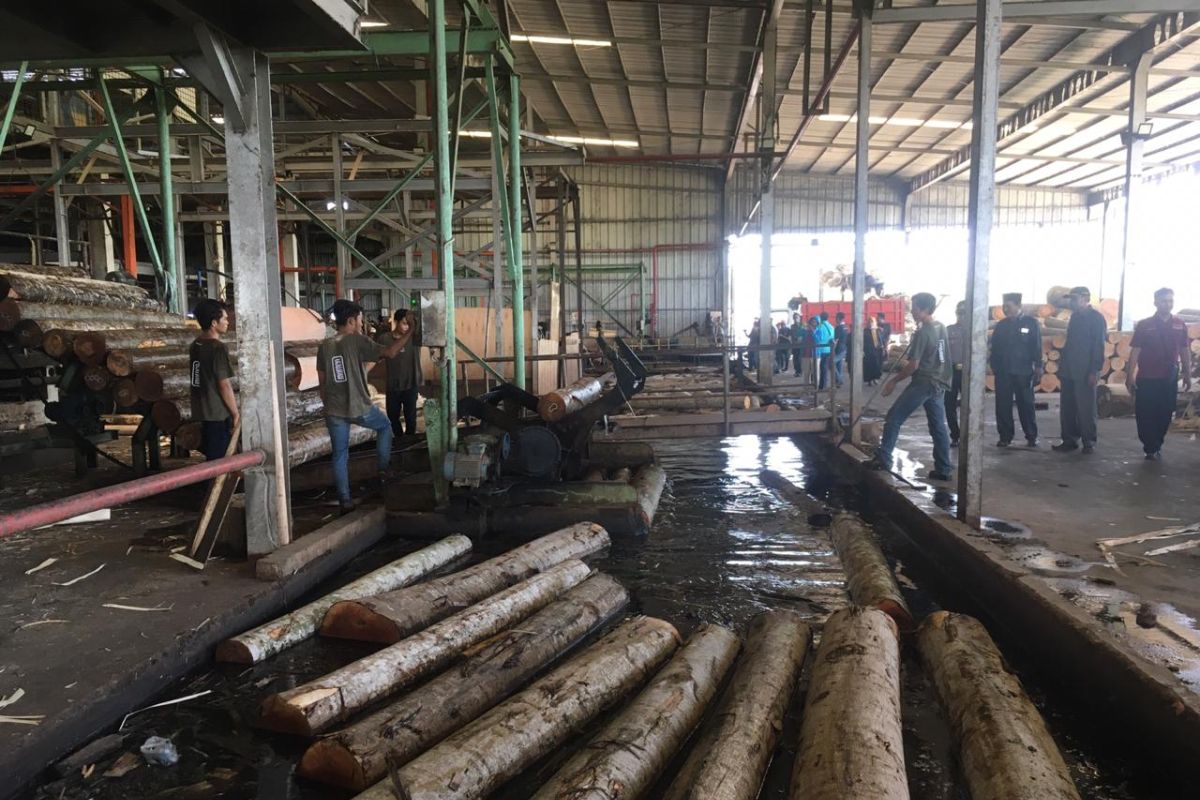 DPRD Jember inspeksi pabrik kayu diduga buang limbah ke sungai