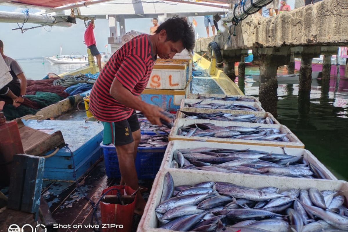 Musim kemarau, nelayan Kendari keluhkan penurunan hasil tangkapan