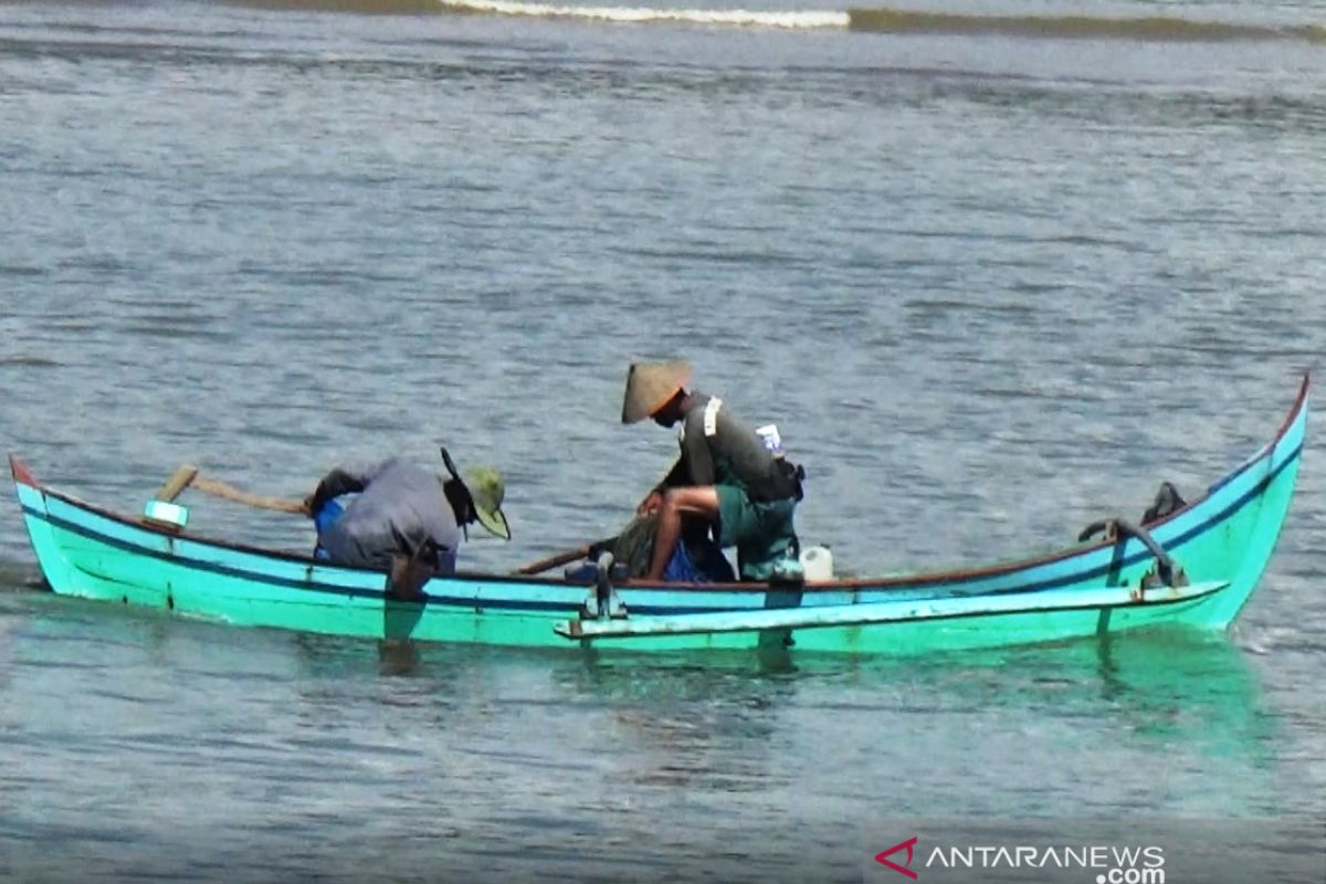 Dinas Perikanan Pasaman Barat akomodir 895 asuransi nelayan selama 2019