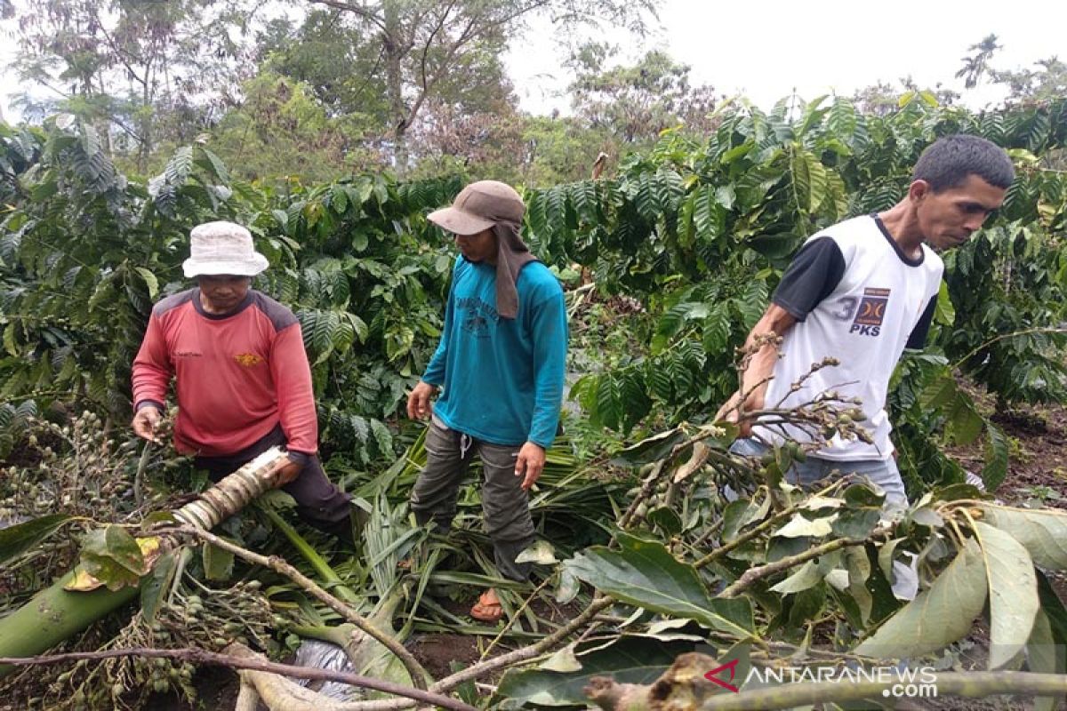 Sejak 2011 sudah 8 korban jiwa akibat konflik gajah di Bener Meriah