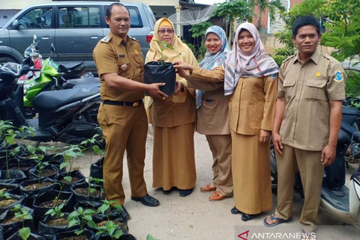 Pemprov Bangka Belitung bagikan bibit cabai tekan inflasi