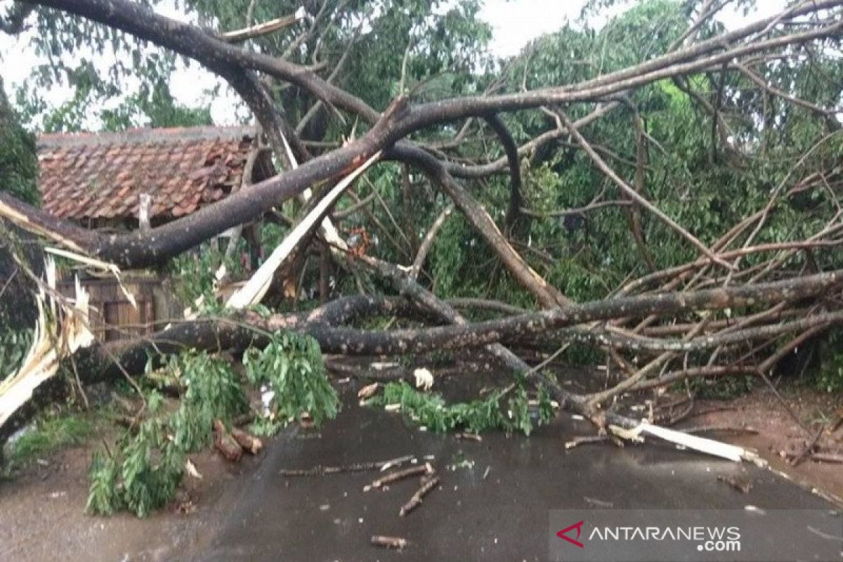18 rumah di Sumba Timur rusak akibat angin kencang