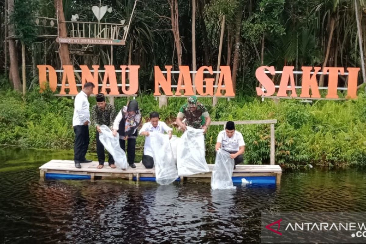 31 ribu benih ikan baung ditebar di Danau Naga Sakti Siak