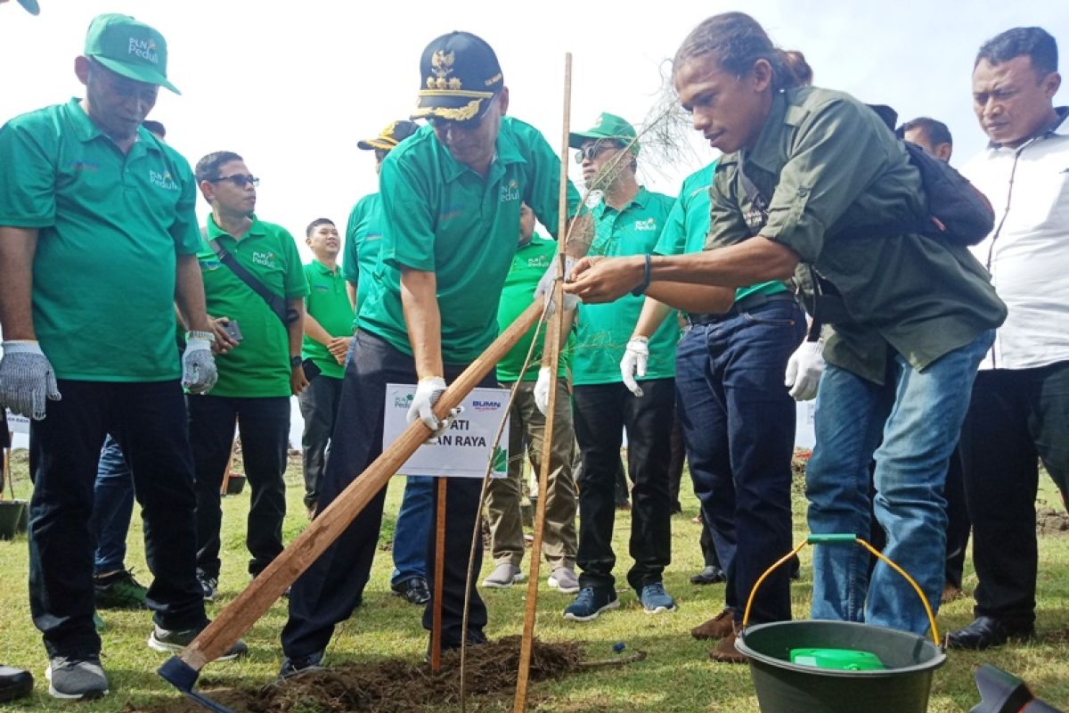 PLN tanam 1.000 mangrove di Nagan Raya dukung mitigasi perubahan iklim