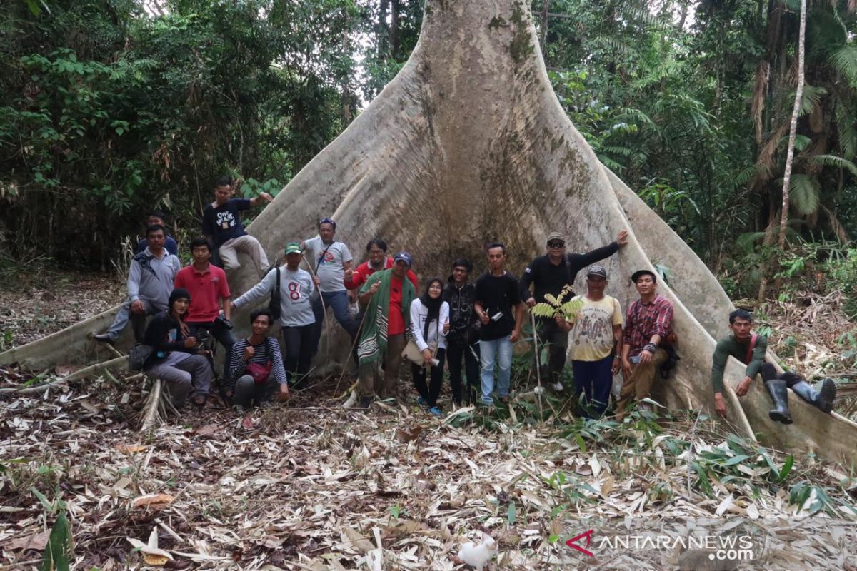 Songsong IKN, Tanjung Soke Bersiap Menjadi Kampung Wisata