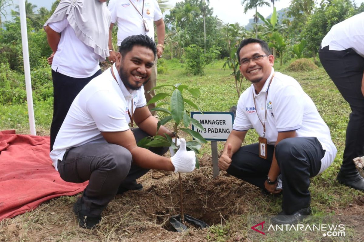 PLN UIW Sumbar tunjukan peduli lingkungan dengan tanam 1.500 pohon