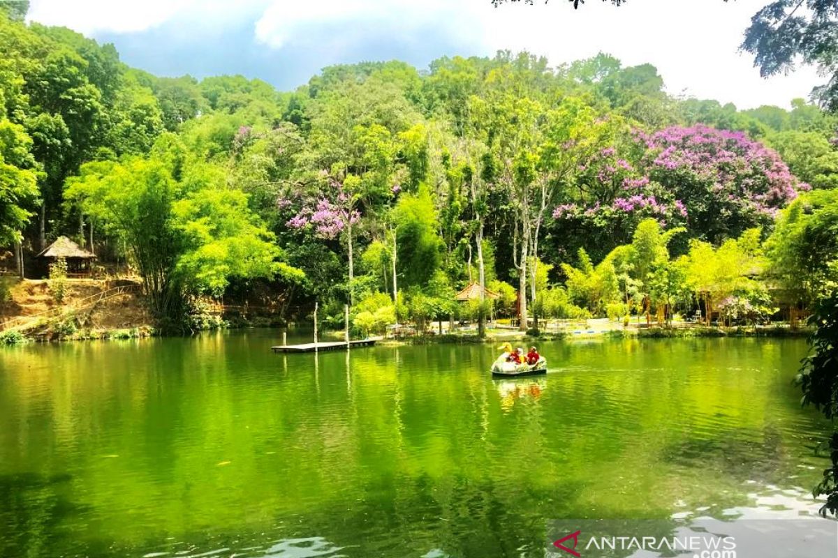 Ekowisata Boon Pring Malang akan dilengkapi museum bambu