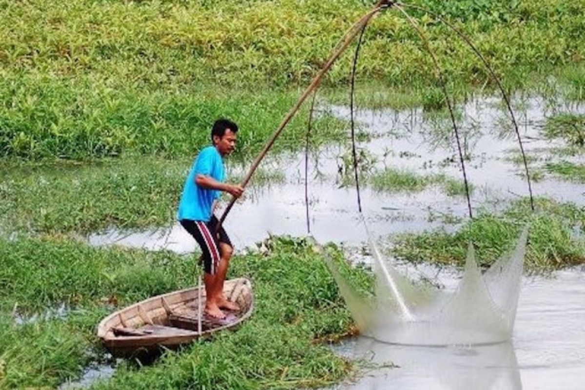 Lelang rawa lebak sumbang PAD OKI Rp6,8 miliar