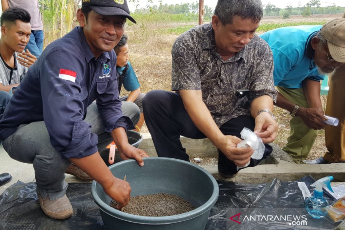 IPB kenalkan budidaya ikan lele gunakan hormon oodev  kepada masyarakat Lampung