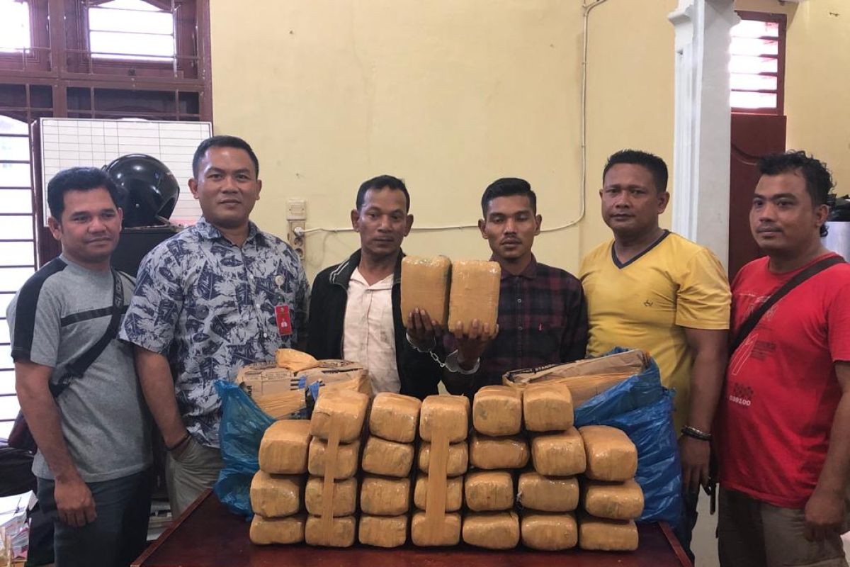 Polres Langkat gagalkan pengiriman 28 kg ganja dari Aceh tujuan Bengkulu
