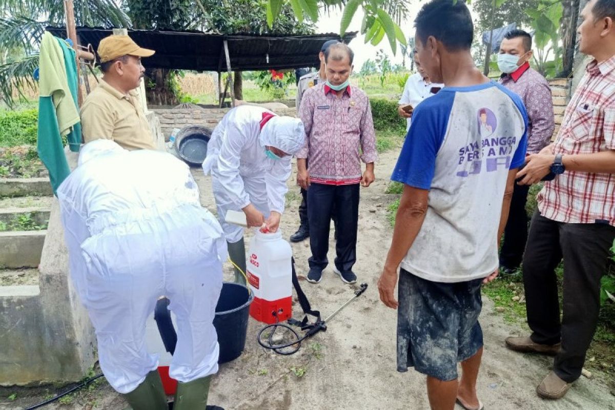 Balai Viteriner Medan ambil sampel babi mati di Simalungun