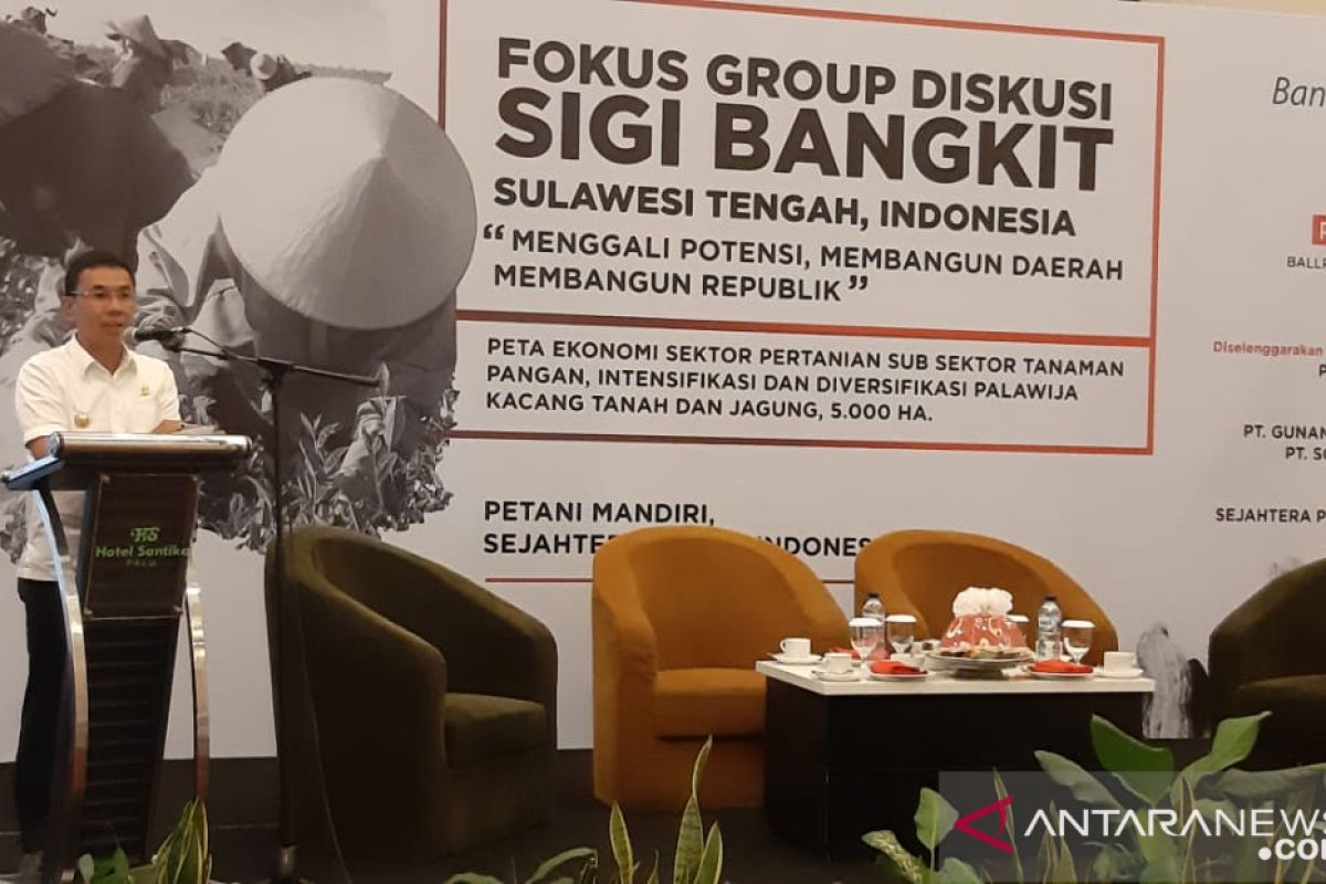 Pemkab Sigi minta BUMN dan swasta terlibat untuk wujudkan swasembada pangan