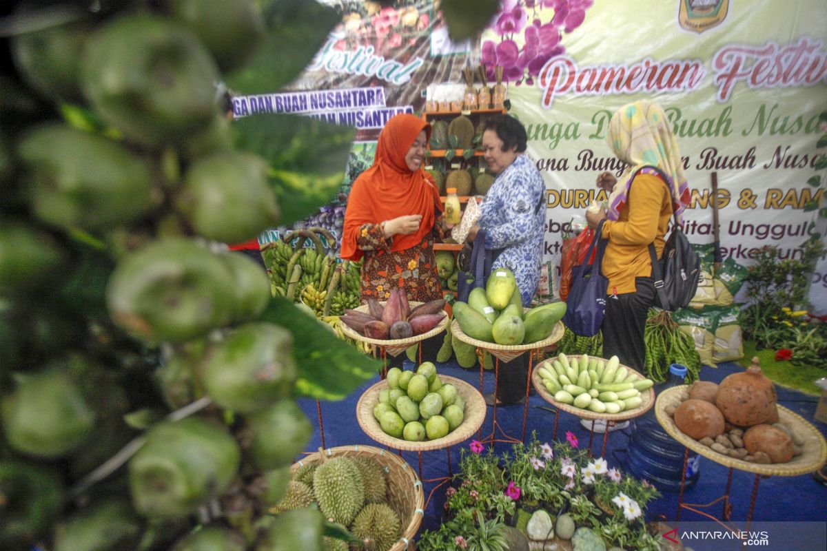 Festival Bunga Dan Buah Nusantara 2019 - ANTARA News