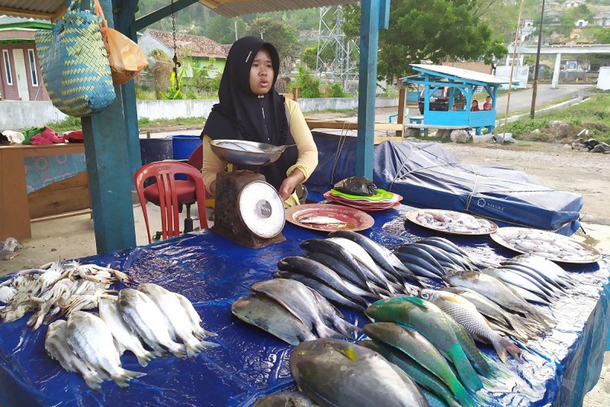 Harga ikan laut di Bandarlampung stabil meski musim berangin