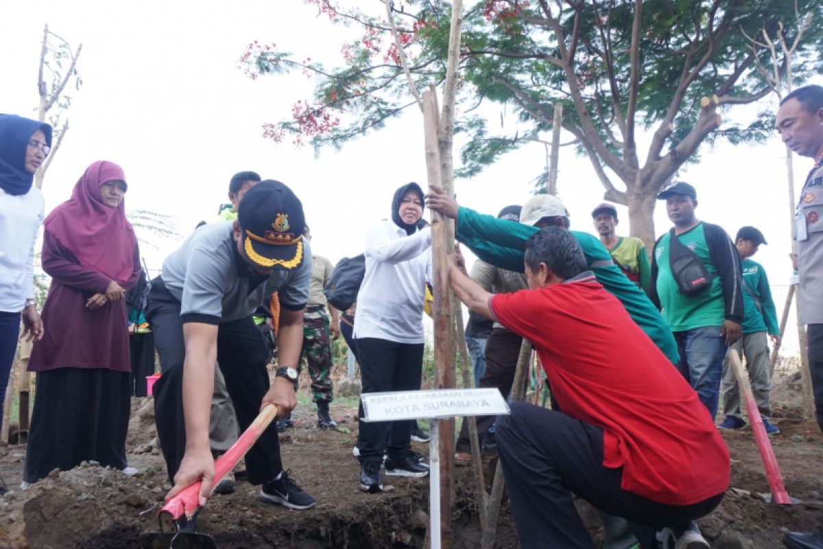 Risma pimpin penanaman pohon di kawasan Stadion GBT Surabaya