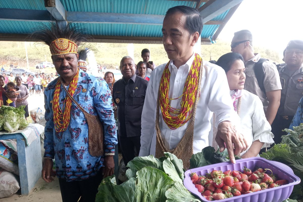 Bupati minta provinsi bantu percepat pembangunan infrastruktur Arfak