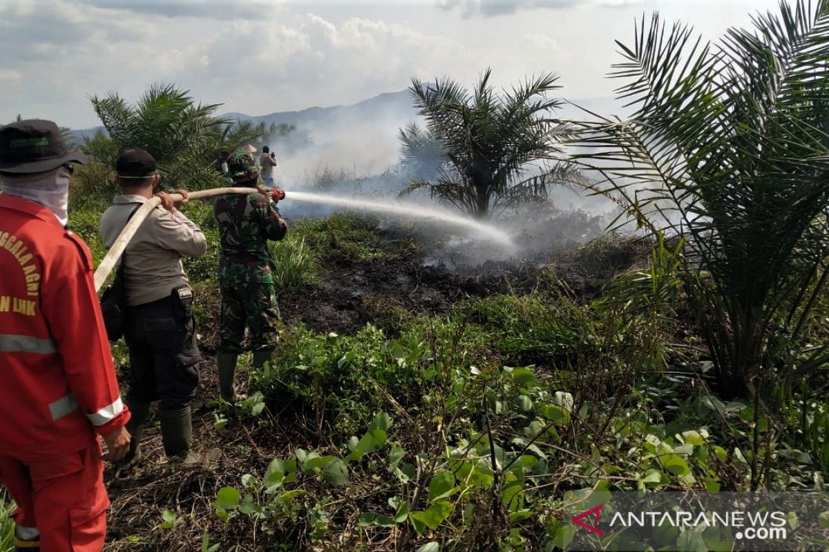 Gapki minta pemerintah awasi lahan tak bertuan cegah kebakaran hutan