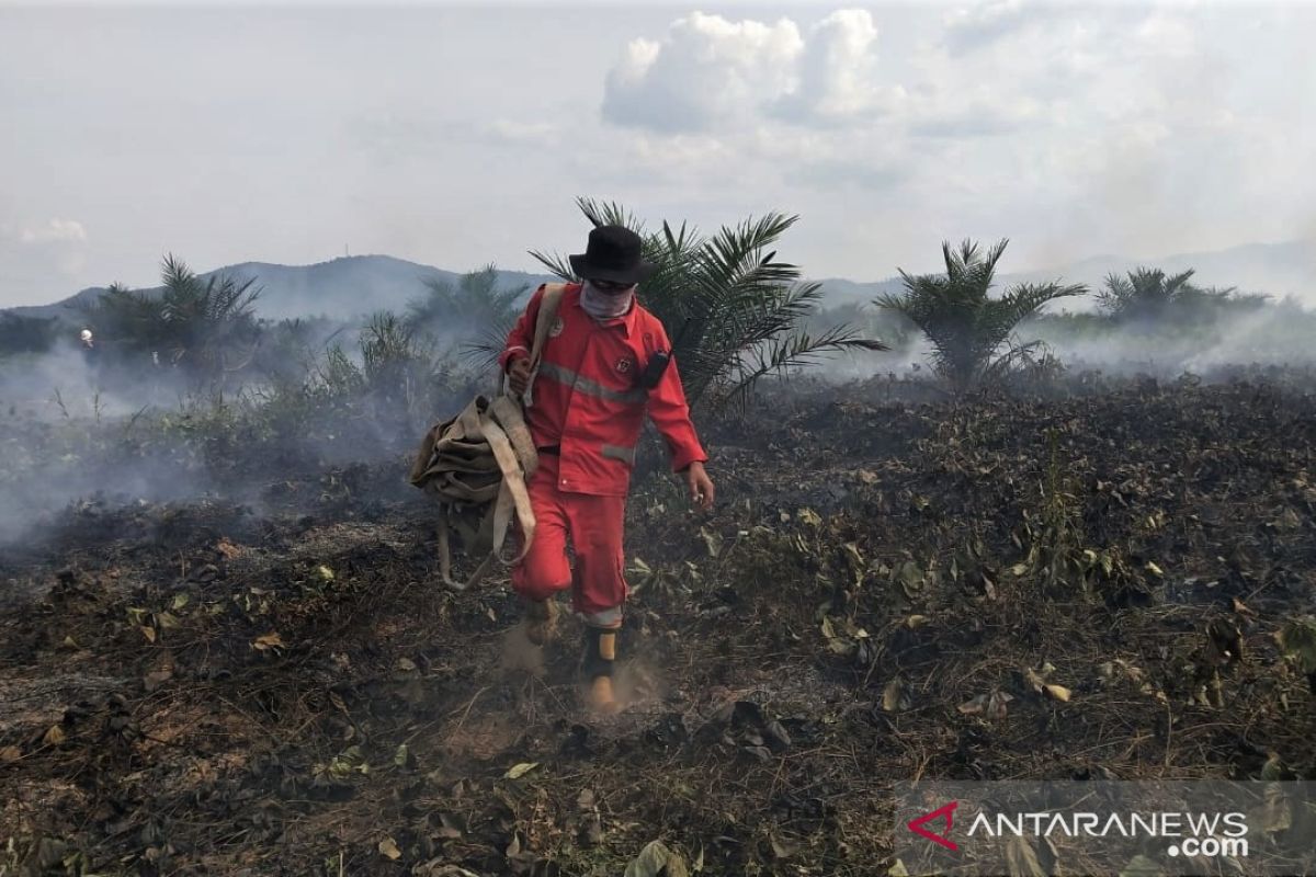 Simpanan ribuan tahun pun melayang bersama  asap kebakaran gambut