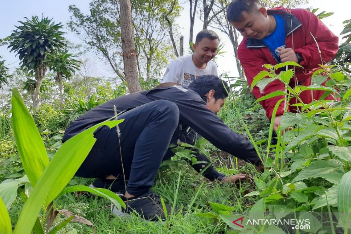 Komunitas antinarkoba Kabupaten Batang tanam 2.400 pohon