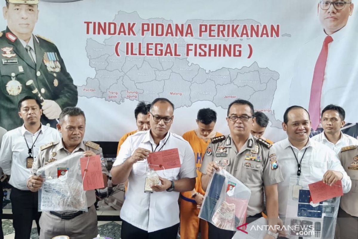 Polda Jatim gagalkan penyelundupan 10.278 benih lobster