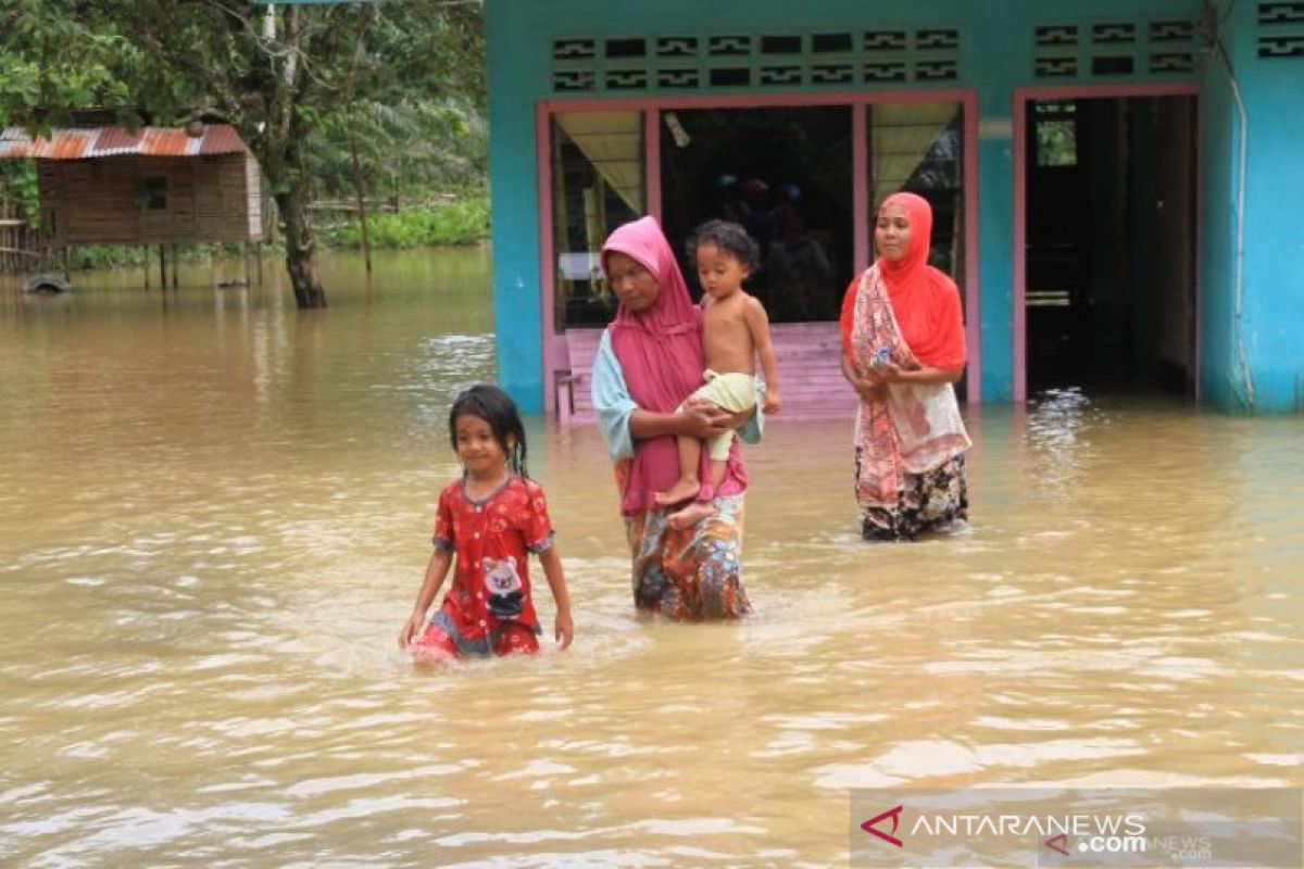 Banjir rendam empat kecamatan di Aceh Barat menyusul tingginya curah hujan