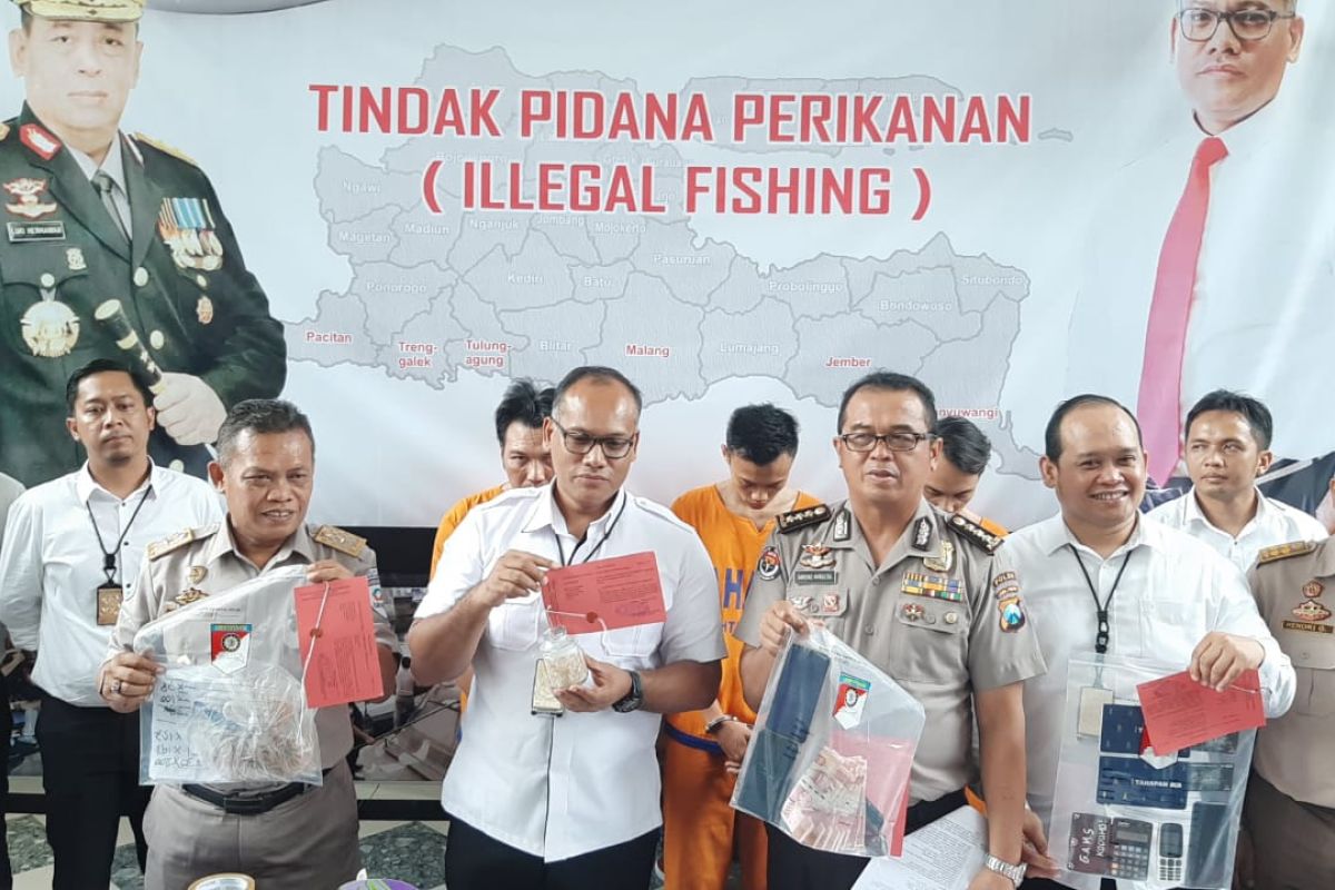 Polda Jatim gagalkan penyelundupan 10.278 benih lobster ke Vietnam