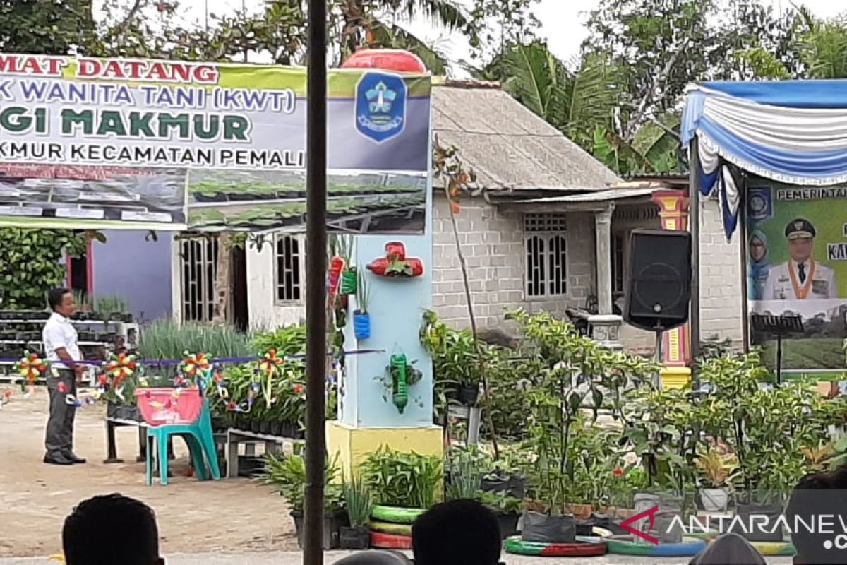 Pemerintah Kabupaten Bangka dorong masyarakat manfaatkan lahan tidur