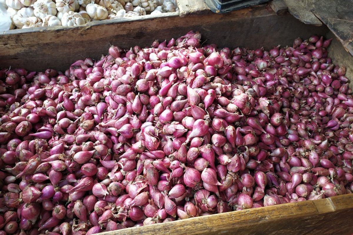 Jelang akhir tahun harga bawang merah di Bandarlampung stabil