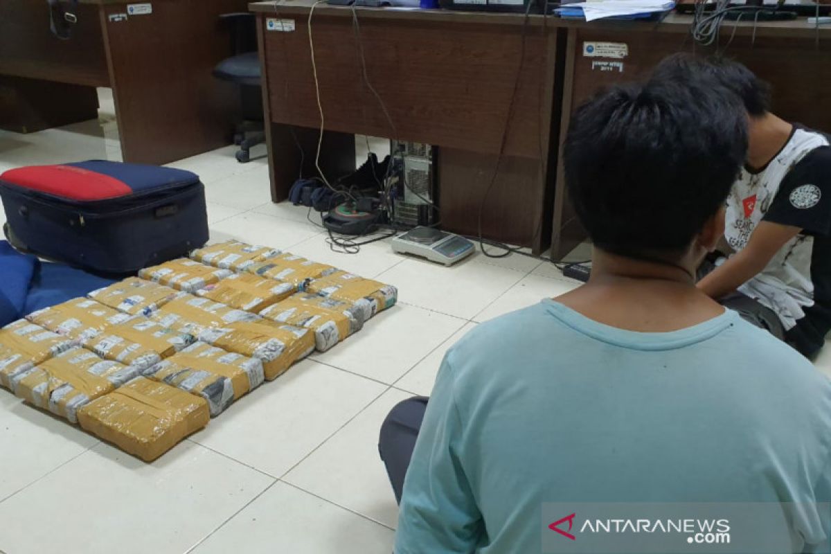 BNNP NTB menelusuri pemilik ganja 15 kilogram