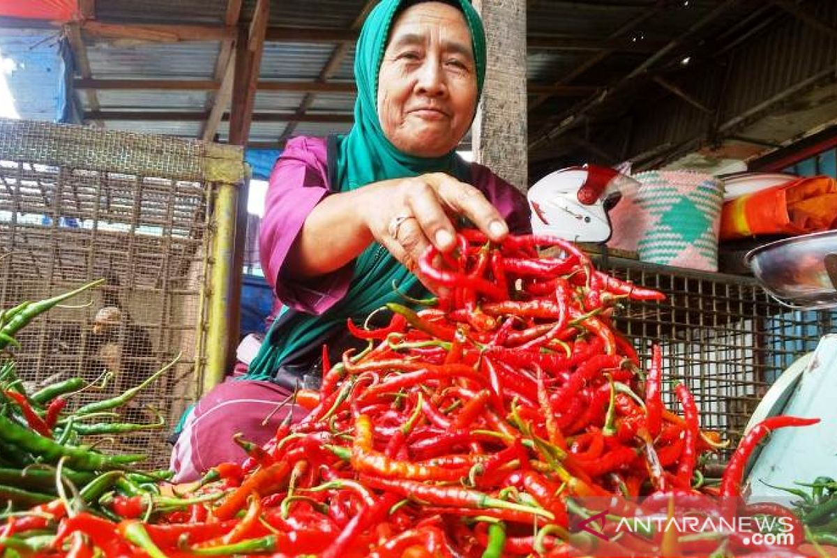 Bukittinggi alami deflasi 0,1 persen