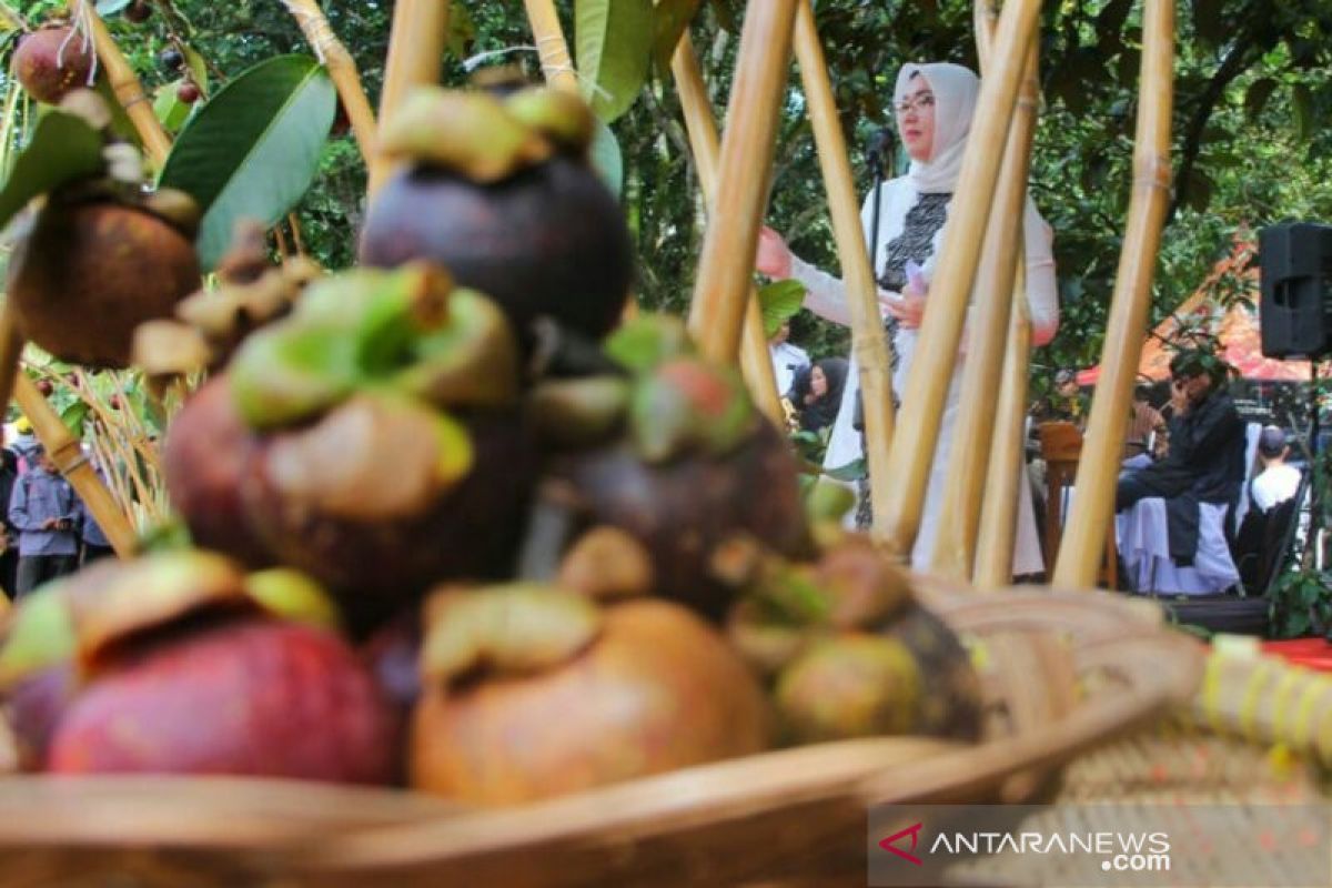 Bupati Purwakarta imbau petani tidak menebang pohon manggis tua
