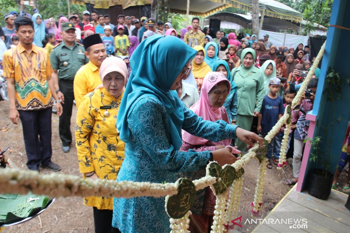 Bupati resmikan 10 rumah warga Anjir Pasar