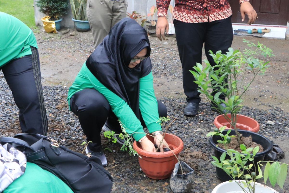 PKK Kota Binjai tanam pohon di Kampung Literasi Anggrek