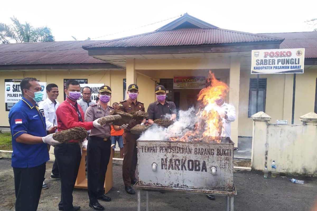 Barang bukti 17 kilogram ganja tangkapan Polres Pasaman Barat dimusnahkan