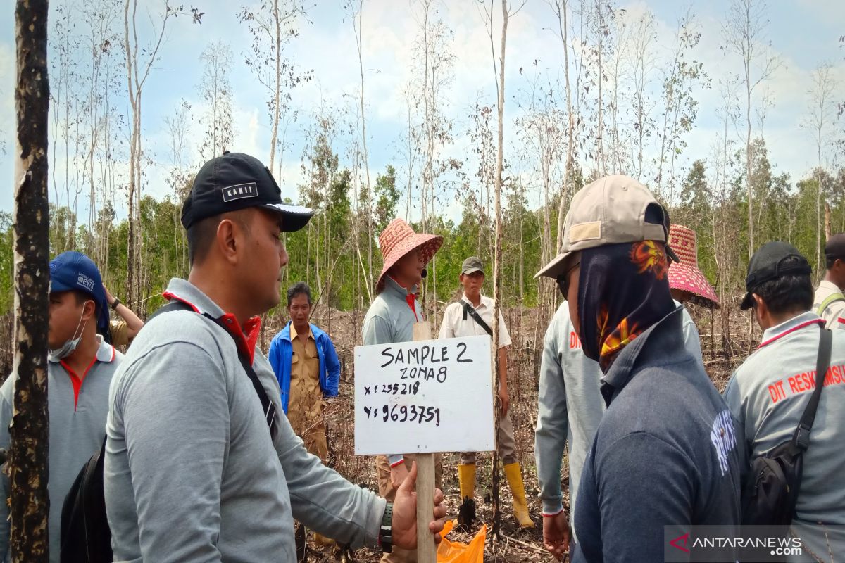 Police brings IPB experts to probe into oil palm land fire