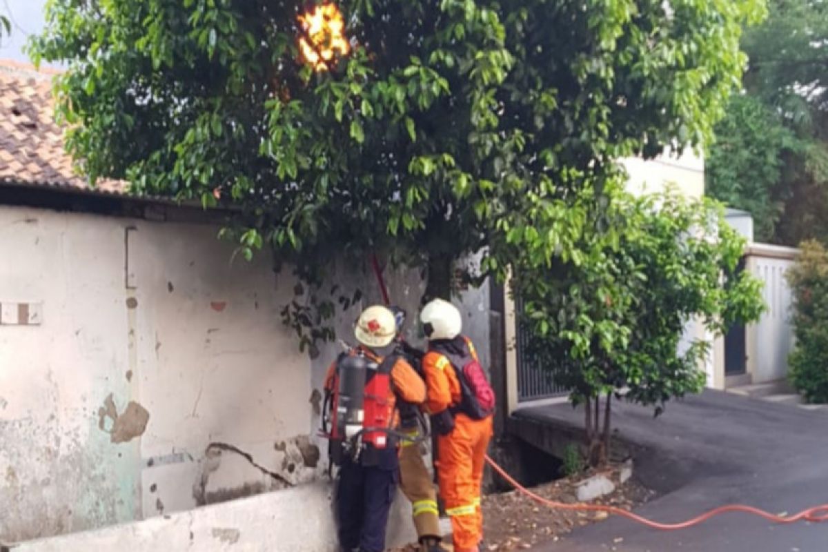 Terkait sarang tawon, TLR Kota Tangerang terima 17 laporan warga