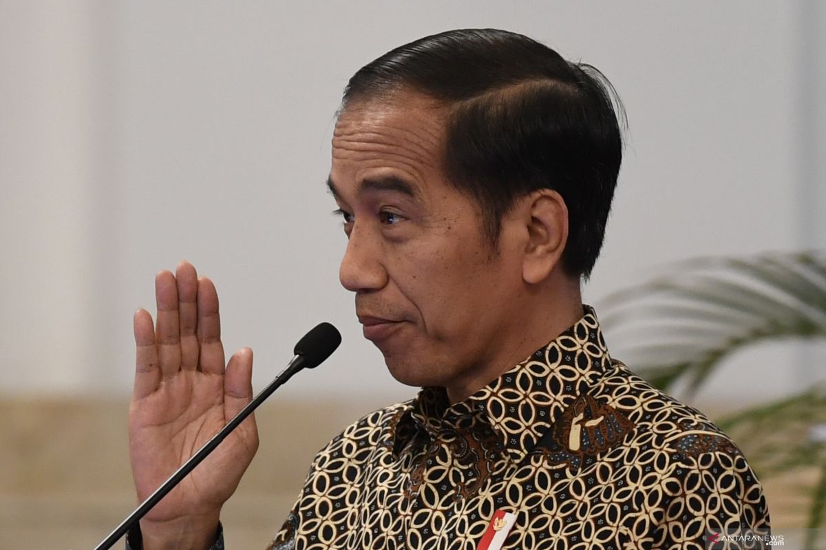 Asian of The Year 2019, Presiden Jokowi antara pujian dan ujian