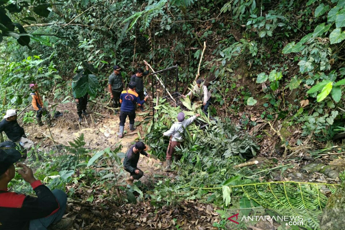 Serangan harimau ke warga Sumsel terjadi di habitatnya