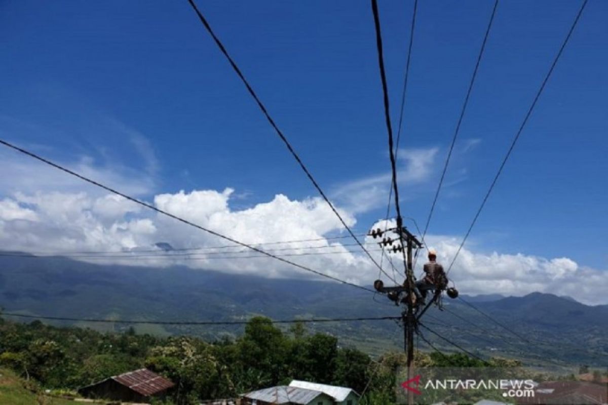 Anggota DPR ingin elektrifikasi di Kalimantan capai 100 persen