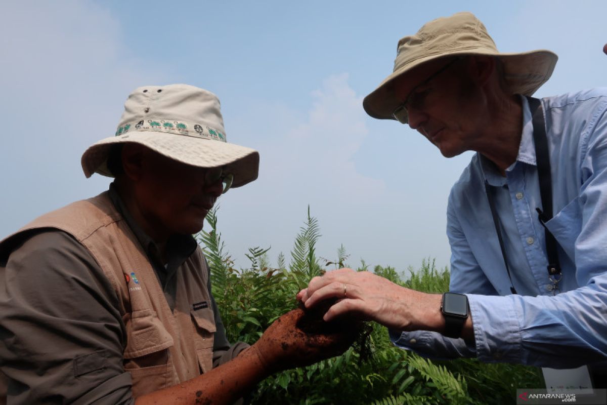 Indonesia akhiri kerja sama REDD+ dengan Norwegia