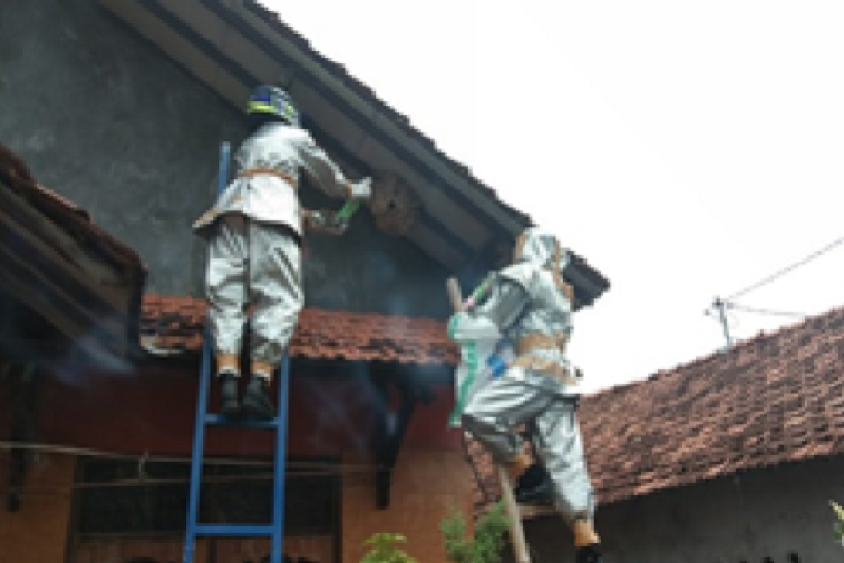 Keluhan via call center teror tawon meningkat di Kudus