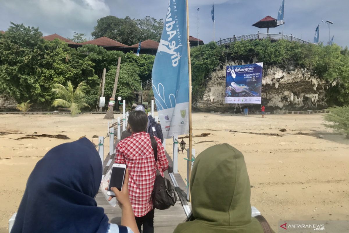 Indonesia International Dive Adventure dimulai dari Maratua