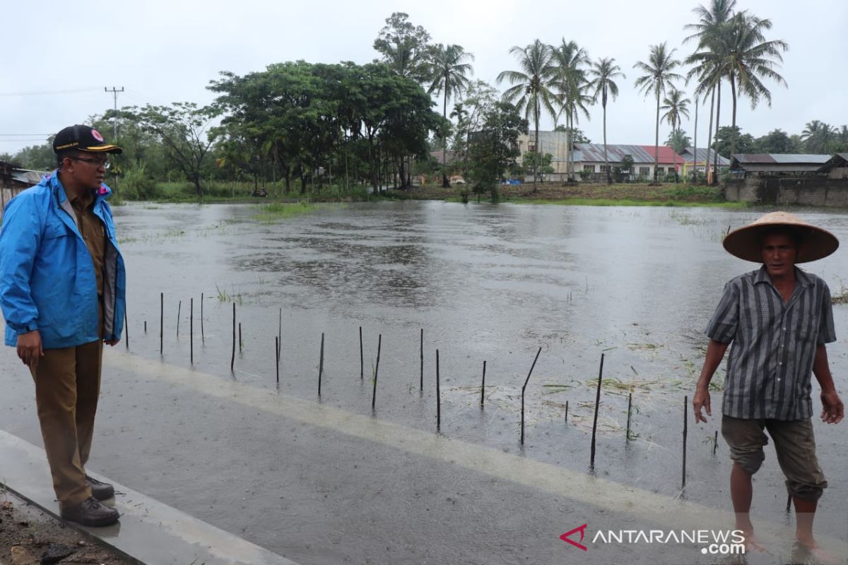 Banjir rendam puluhan rumah dan areal persawahan di Payakumbuh